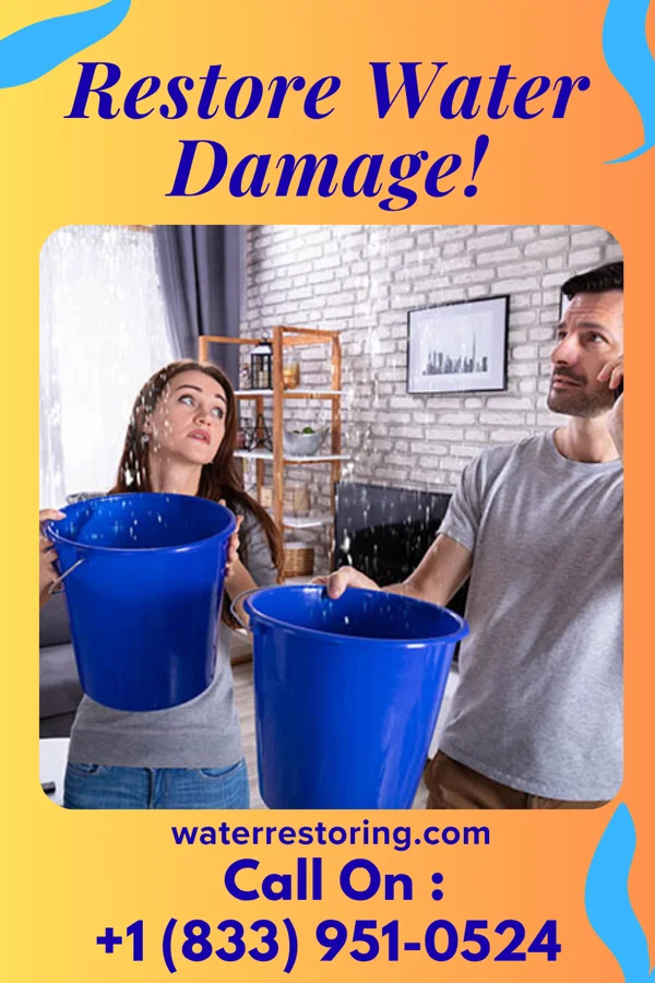 water restoration Patriot Disaster Cleanup Professionals Triangle